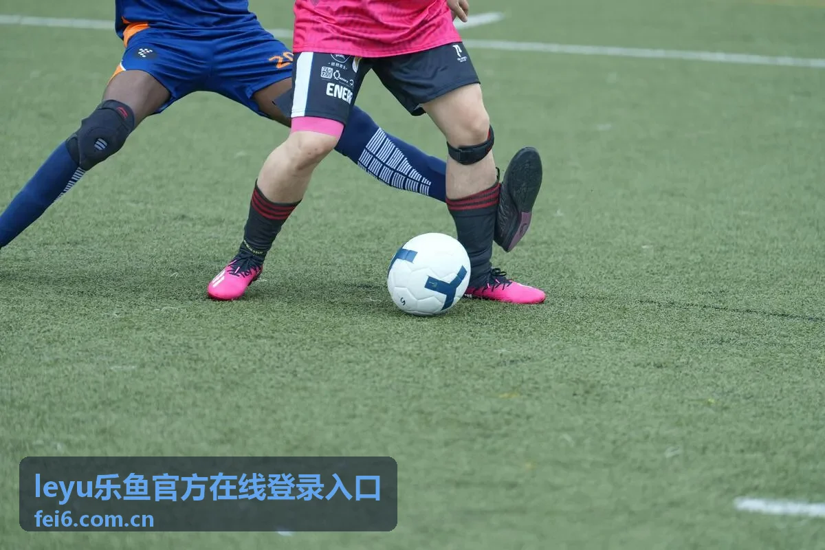 乐鱼平台账户安全设置说明